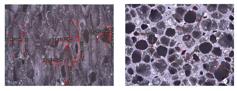 Comparison of density and cell structure before and after adjustment by Sheen Technology